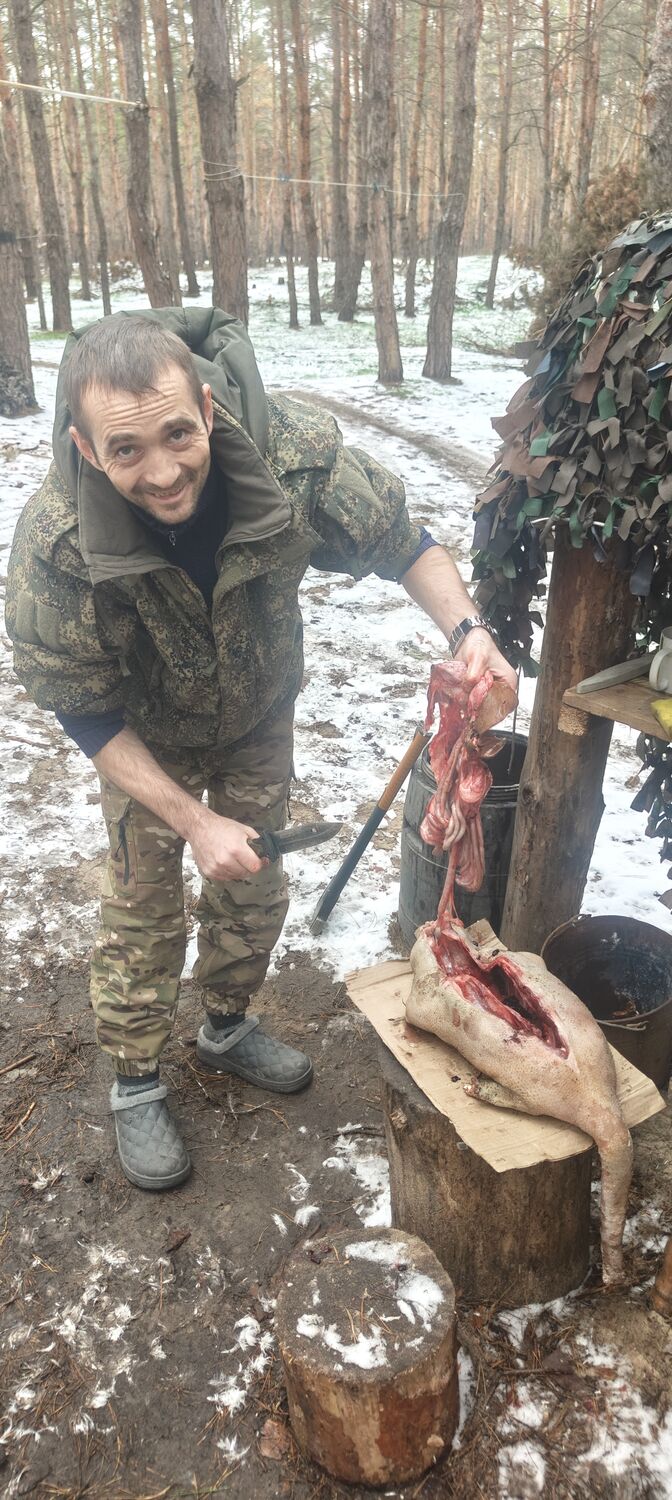 ���� 55023944 ������� ���������, 29 ���, ���� ���������� � �����