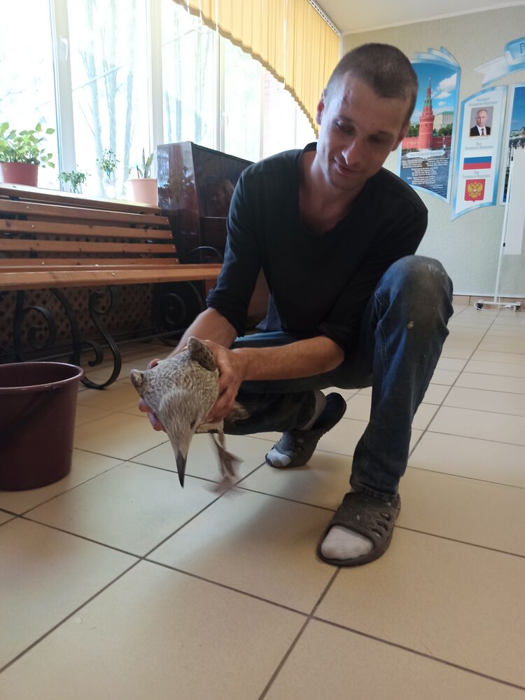 ���������� �����-���������, ���� ������� ���������, 43 ����, ������������ ��� ������, ����� � ���������, c�������� ���������, ���������