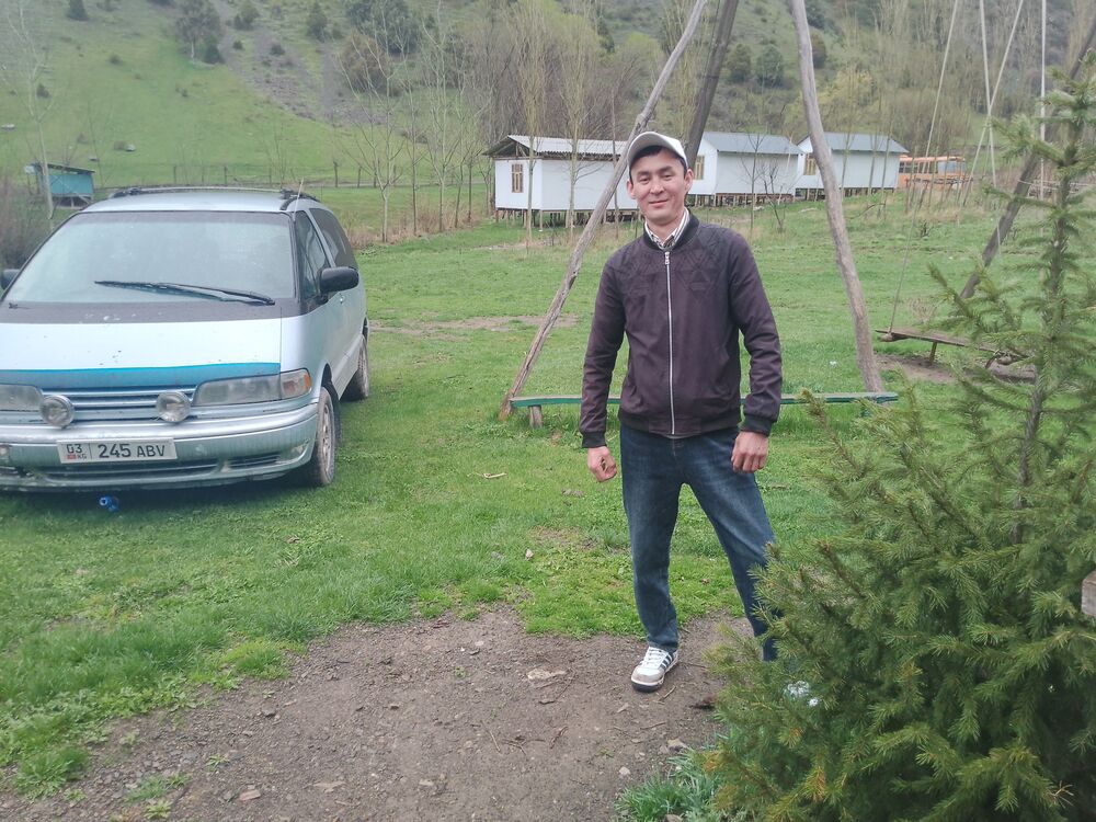  53054994  , 33 ,    