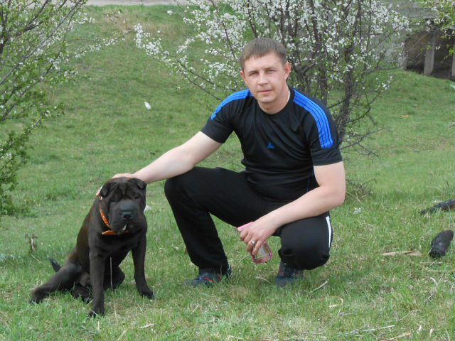 ���������� ����������, ���� ������� Alex, 41 ���, ������������ ��� ������, ����� � ���������, c�������� ���������