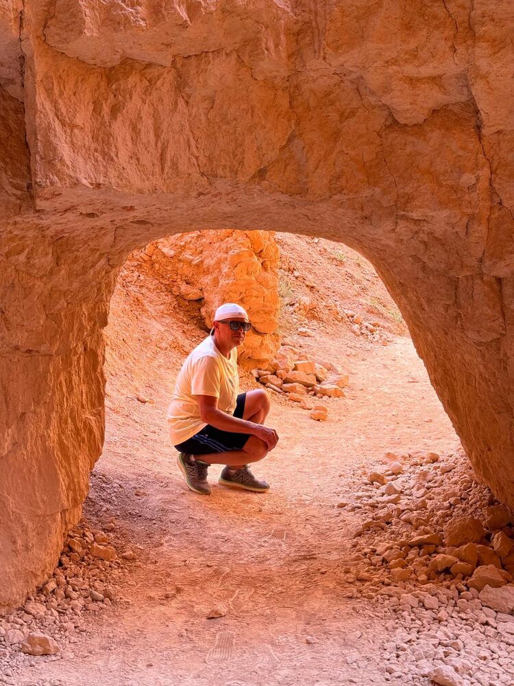 ���� 56209574 ������� ���������, 51 ���, ���� ���������� � ������