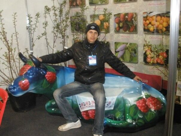  5839504  DAMIR, 32 ,    