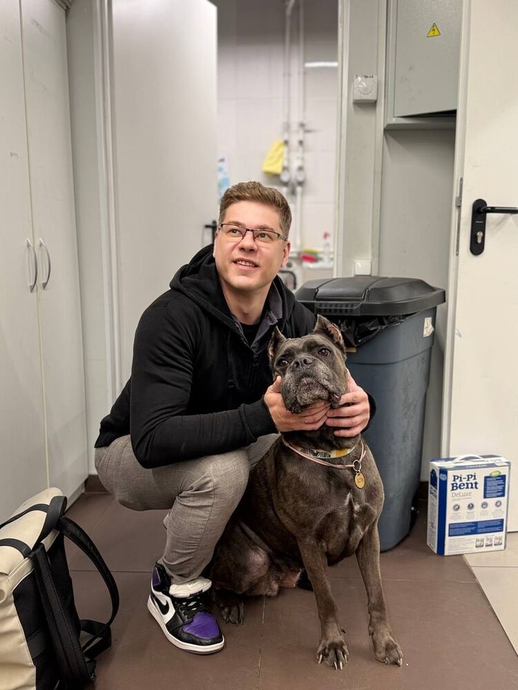 ���� 56417354 ������� ���������, 38 ���, ���� ���������� � ������