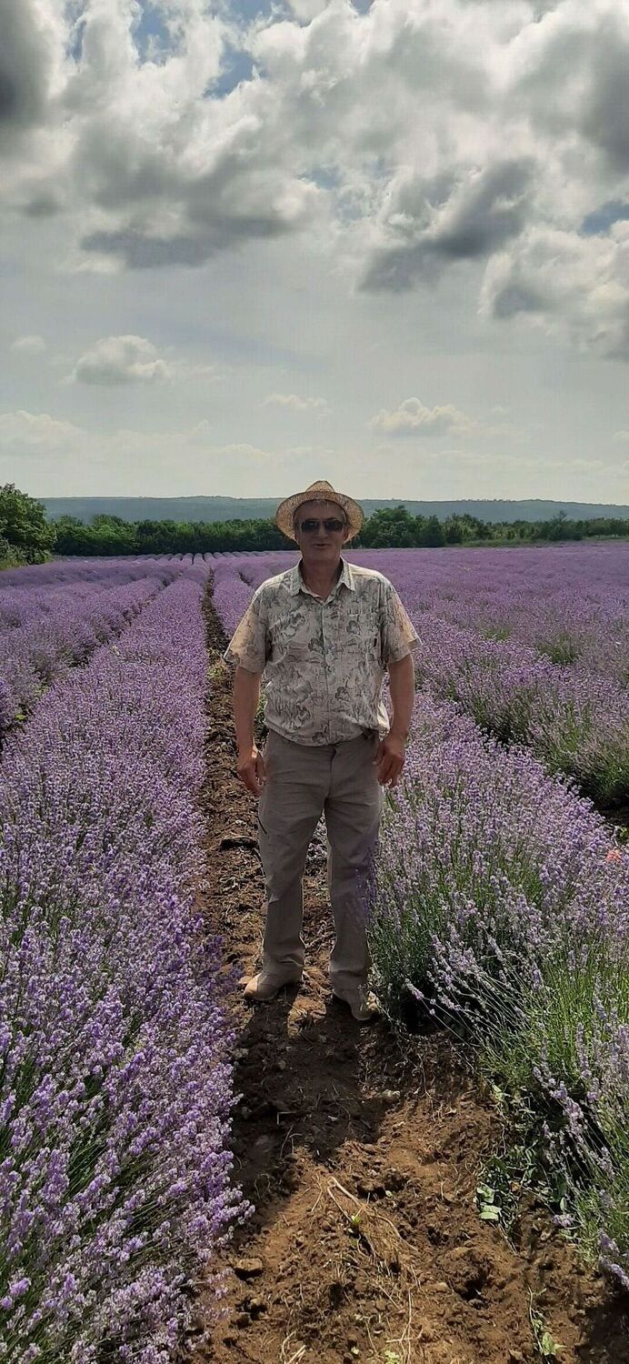 ���� 25155694 ������� ��������, 62 ����, ���� ���������� � ������