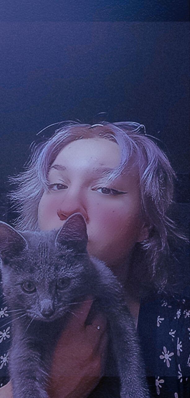  ,   , 21 ,     , 