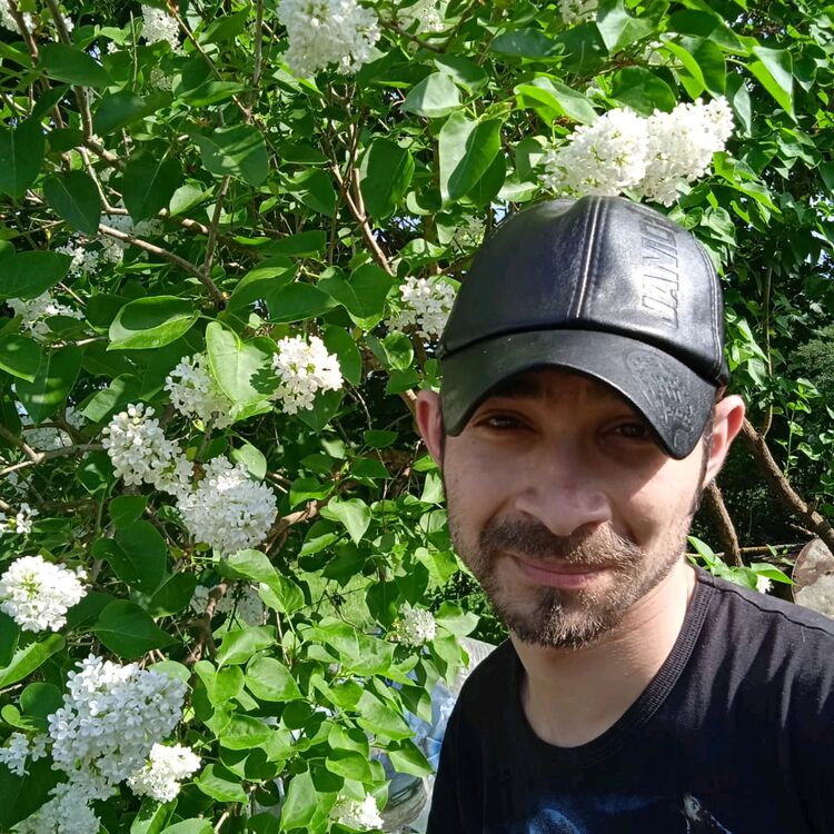 ���� 39492924 ������� ����, 34 ����, ���� ���������� � ������������