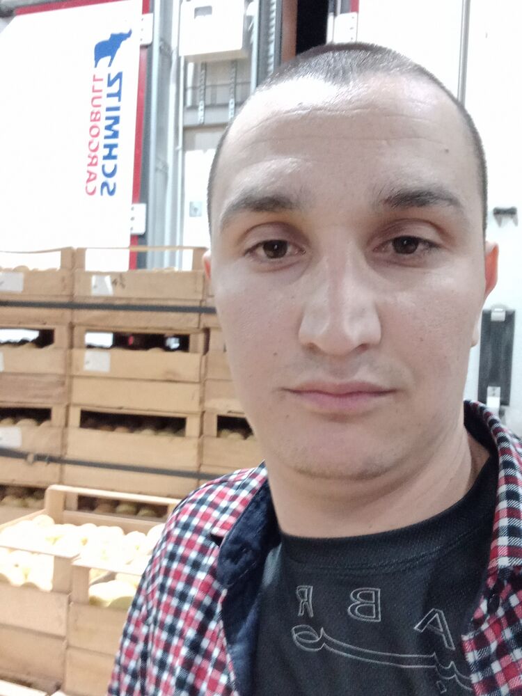  31237694  , 28 ,    