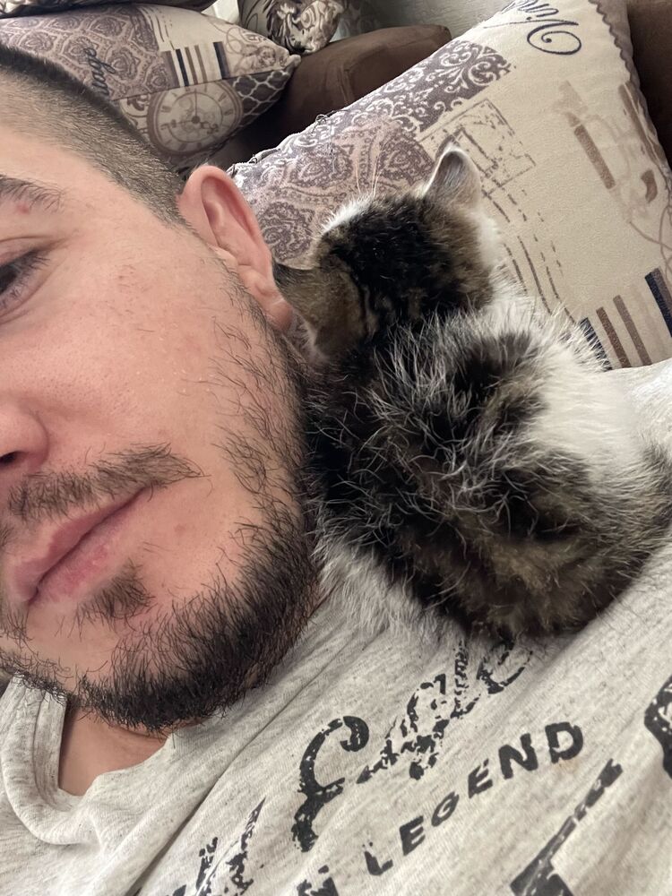 ���������� ������, ���� ������� �����, 28 ���, ������������ ��� ������, ����� � ���������