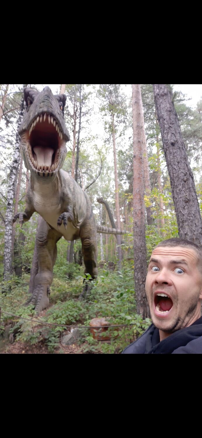 ���������� �����, ���� ������� ������, 38 ���, ������������ ��� ������, ����� � ���������, c�������� ���������