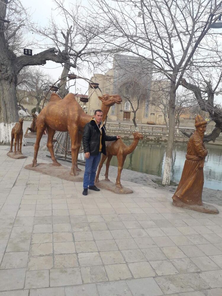  37408474  , 33 ,    