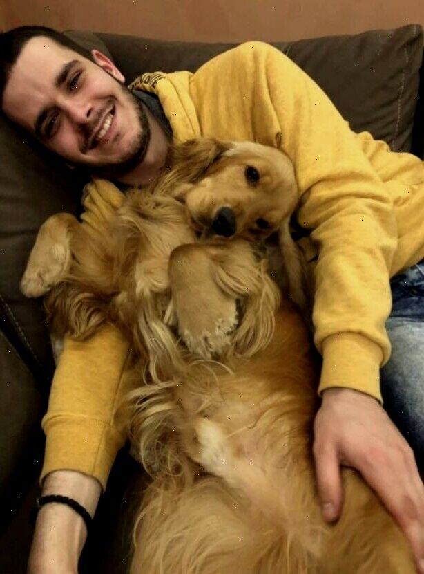 ���� 56025404 ������� ������, 38 ���, ���� ���������� � ����������