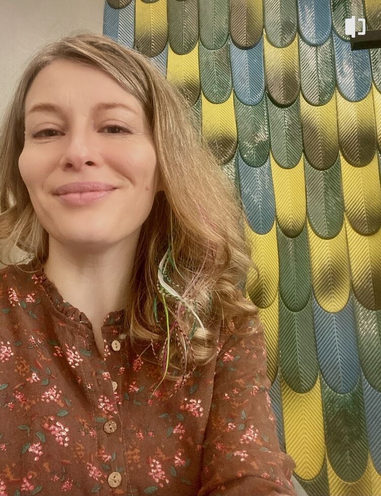  43328774  , 42 ,    -