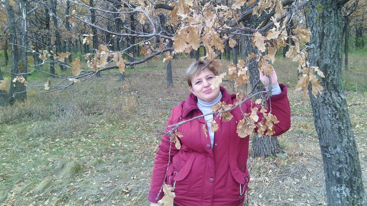  10729774  , 58 ,    -