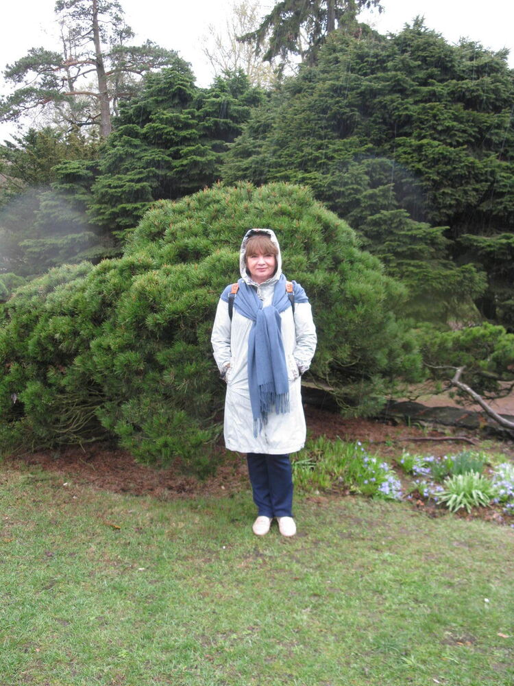 ���������� �����-���������, ���� ������� ����, 58 ���, ������������ ��� c�������� ���������, ���������