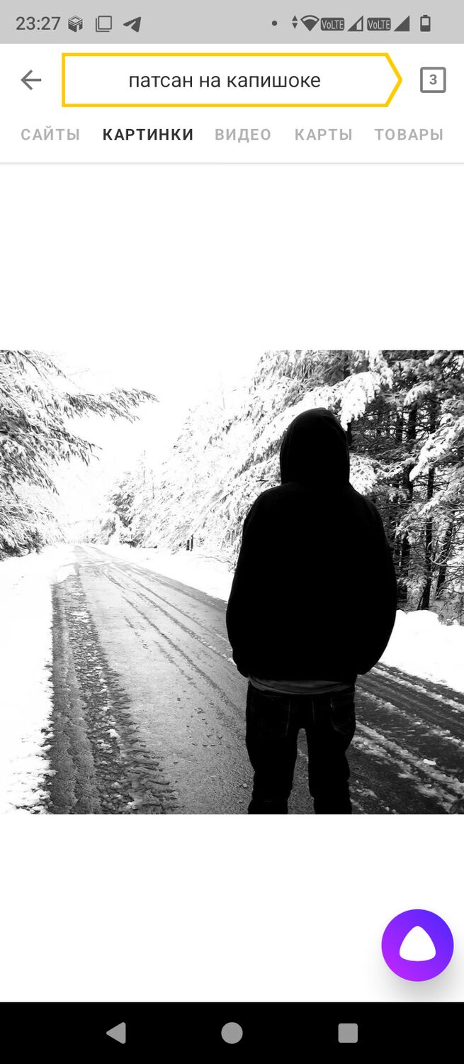 ���� 55105274 ����� �����, 19 ���, ���� ���������� � �����������