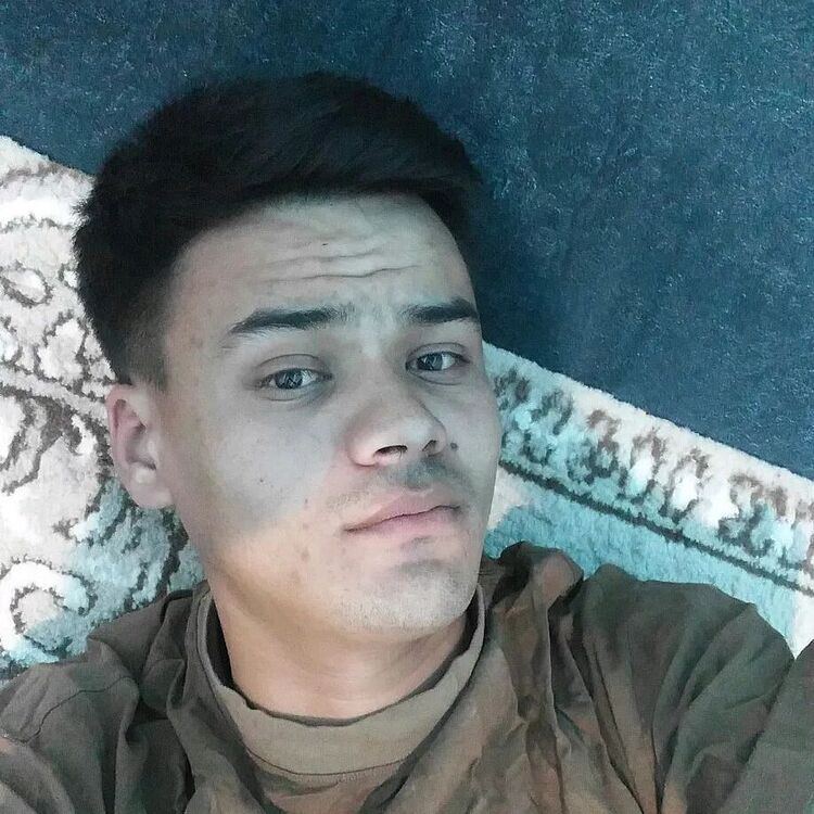  53038644  , 27 ,    