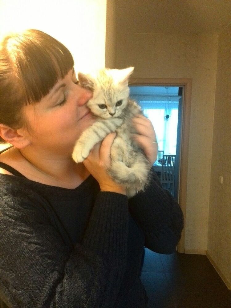 ���������� �����, ���� ������� �����, 39 ���, ������������ 