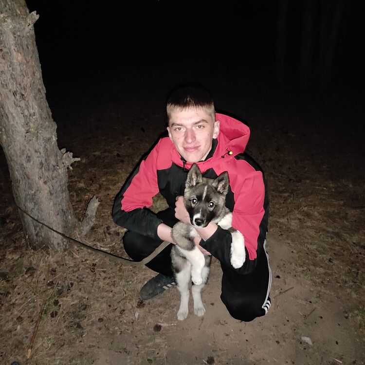 ���� 28703654 ������� �������, 26 ���, ���� ���������� � ���������