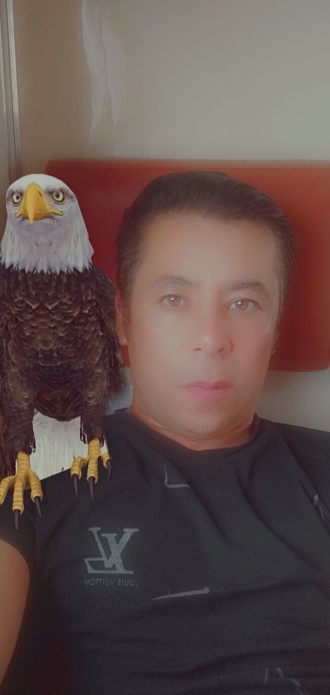  -,   , 36 ,   ,   