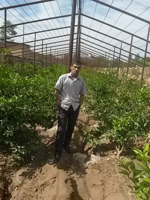 ���� 17646464 ������� ����, 44 ����, ���� ���������� � �����-����������