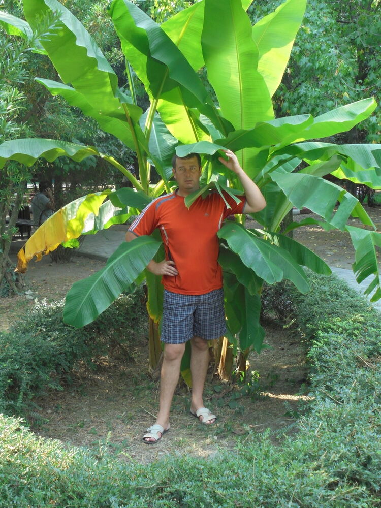 ���� 19121034 ������� ������, 40 ���, ���� ���������� � �����