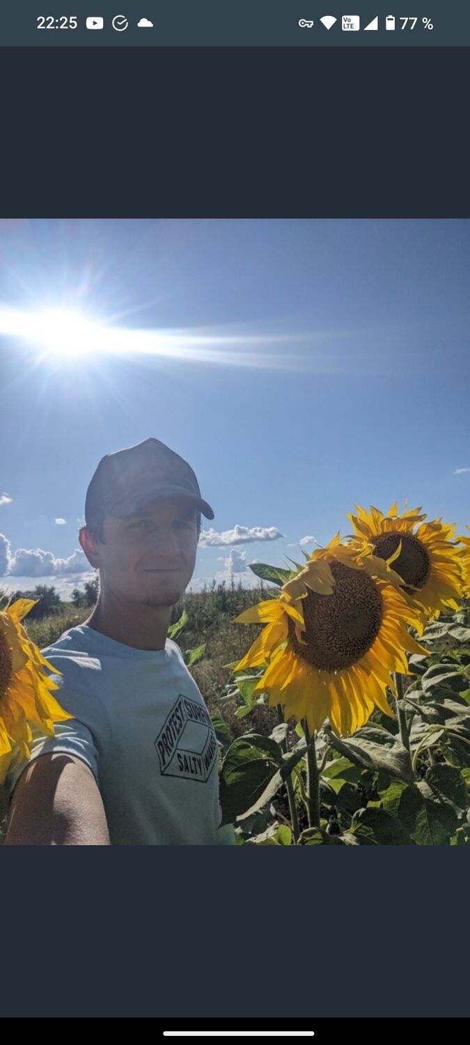 ���� 53528254 ������� ����, 32 ����, ���� ���������� � ����