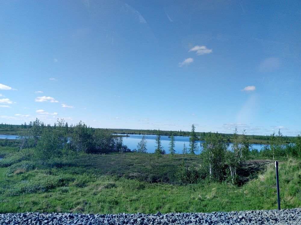 ���������� �����������, ���� ������� �������, 44 ����, ������������ ��� c�������� ���������