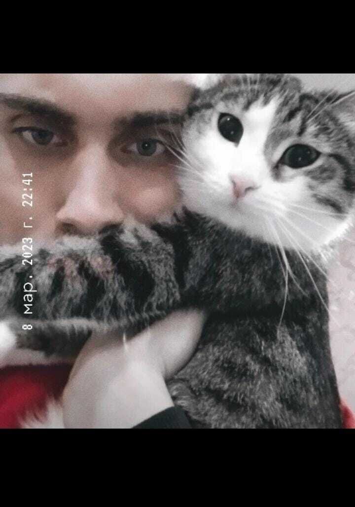 ���������� ������������, ���� ����� ������, 25 ���, ������������ ��� ������, ����� � ���������