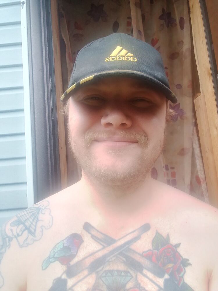  45598534  , 31 ,     