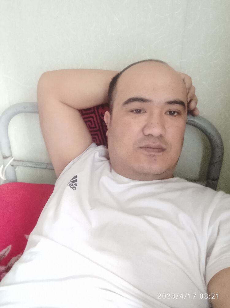 33888024  , 36 ,     