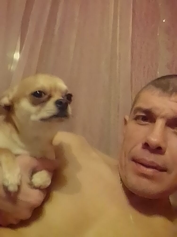 ���� 18413194 ������� ������, 49 ���, ���� ���������� � �����