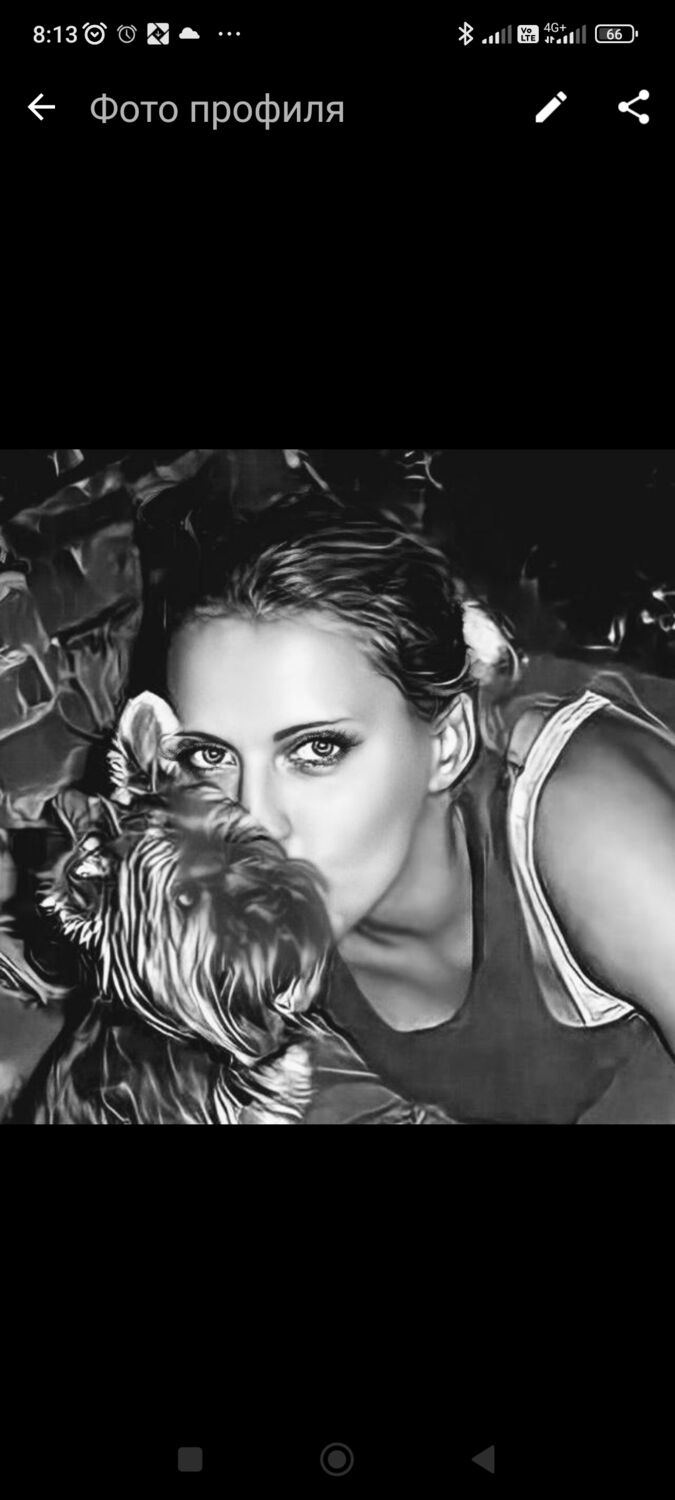 ���������� ������, ���� ������� �����, 41 ���, ������������ ��� ����� � ���������, c�������� ���������