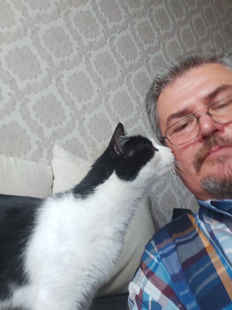  ,   , 59 ,  