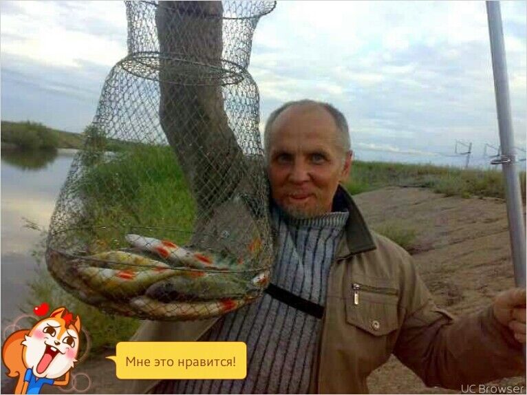 ,   , 61 ,   