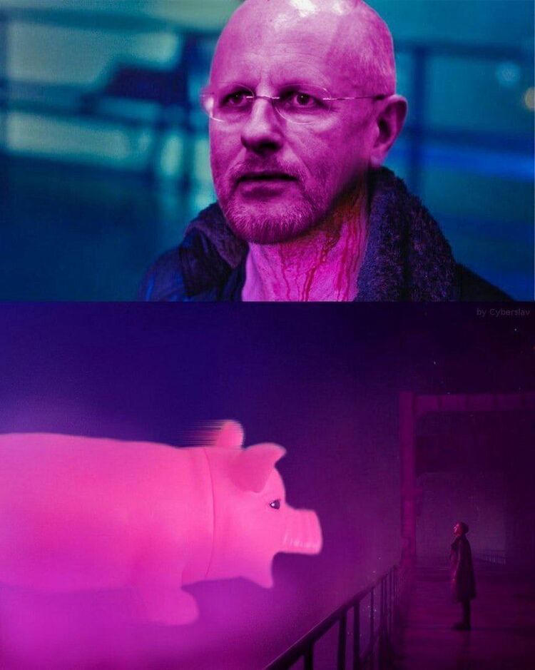 ���� 42335884 ����� ����, 20 ���, ���� ���������� � �����-����������