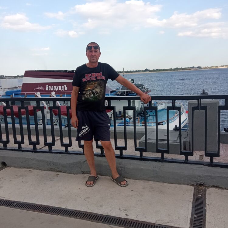 ���� 54042044 ������� �������, 50 ���, ���� ���������� � ��������