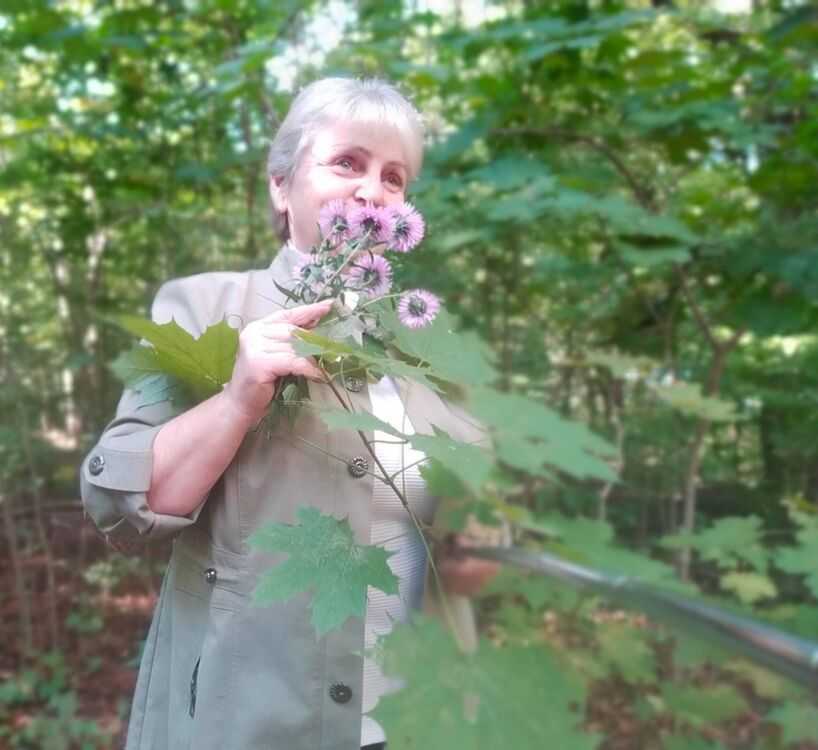 ���������� �����������, ���� ������� �������, 63 ����, ������������ ��� ������, ����� � ���������, c�������� ���������, ���������