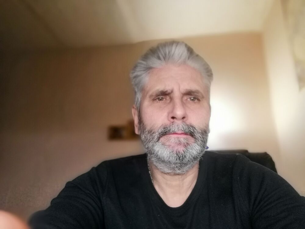 31342384  , 62 ,    