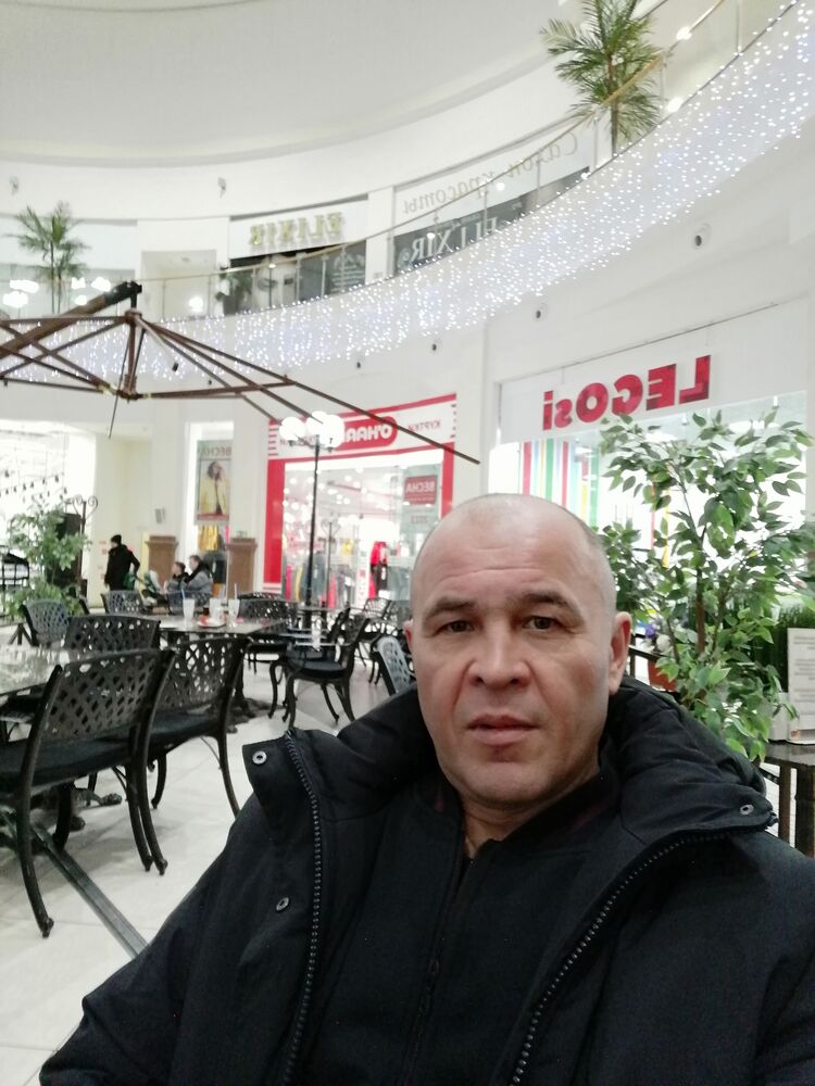  33540844  , 51 ,    