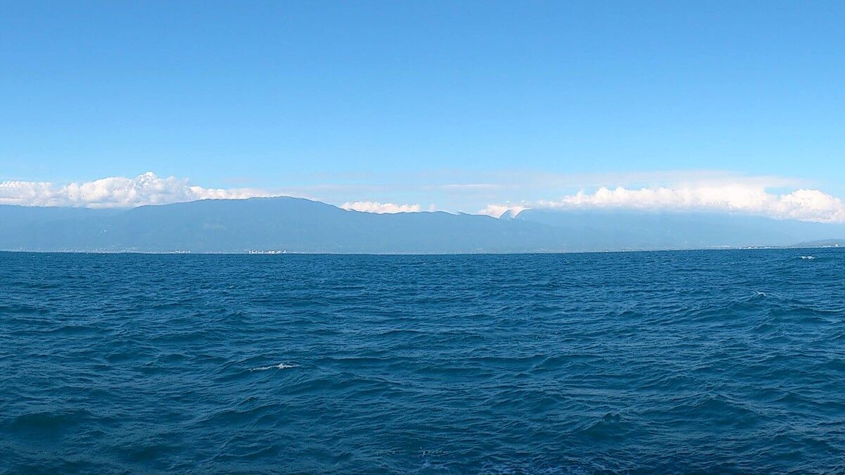 ���������� ������-��-����, ���� ������� ������, 38 ���, ������������ ��� ������