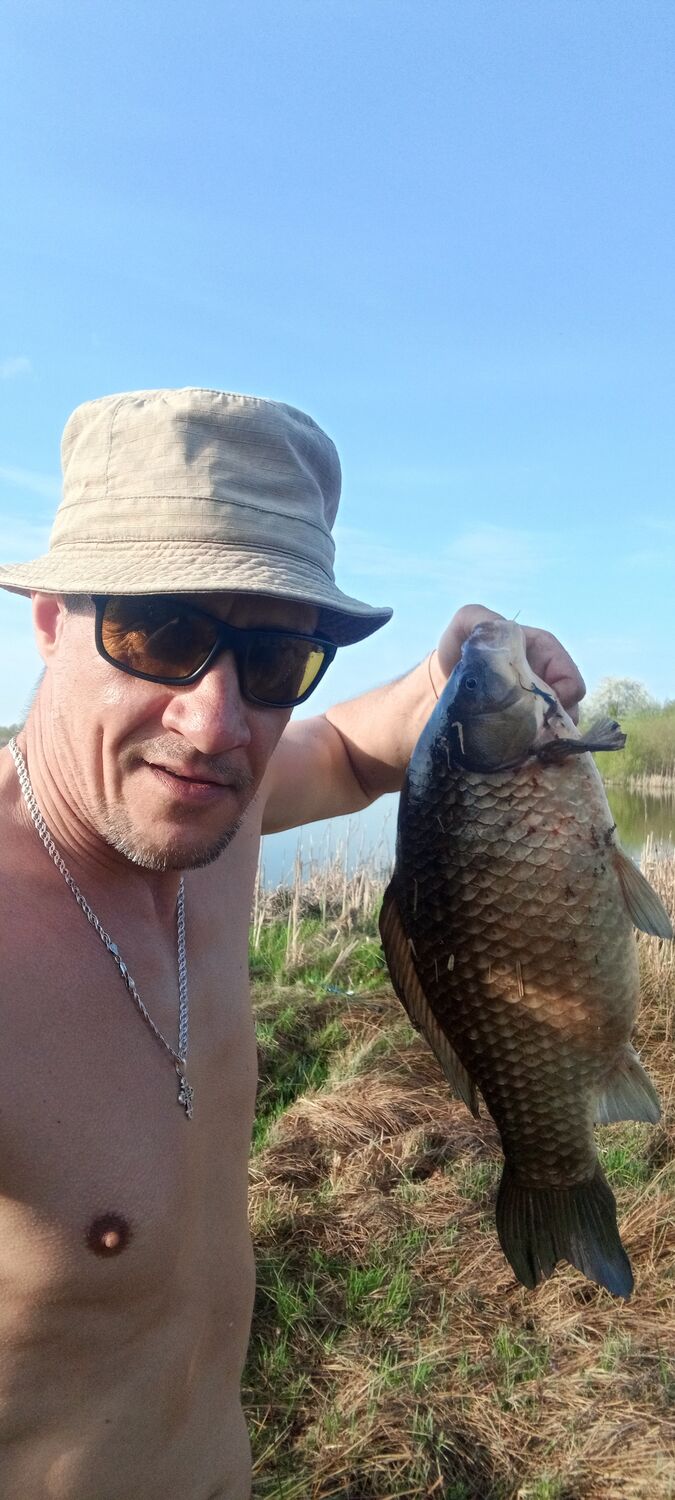 ���� 55588624 ������� ����, 45 ���, ���� ���������� � ������������