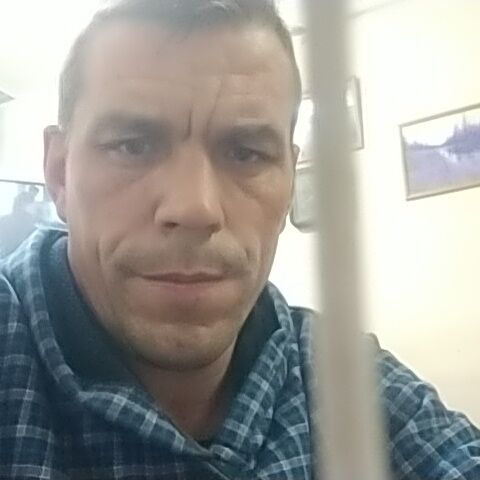  47766584  , 41 ,    