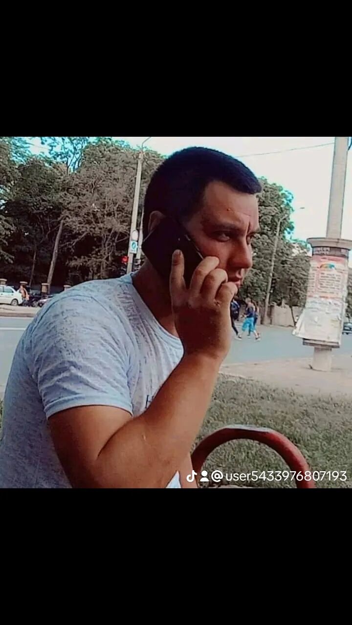  43398024  , 31 ,    