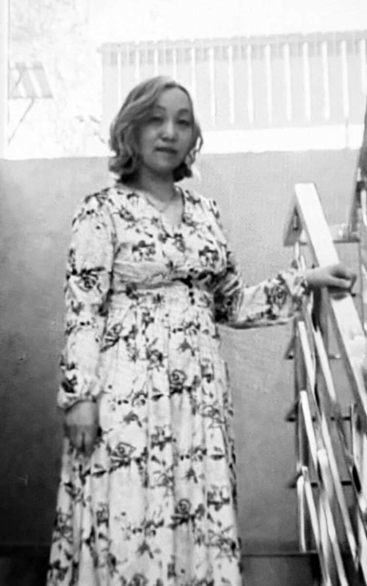 ���������� ������, ���� ������� Elzhana, 50 ���, ������������ ��� c�������� ���������