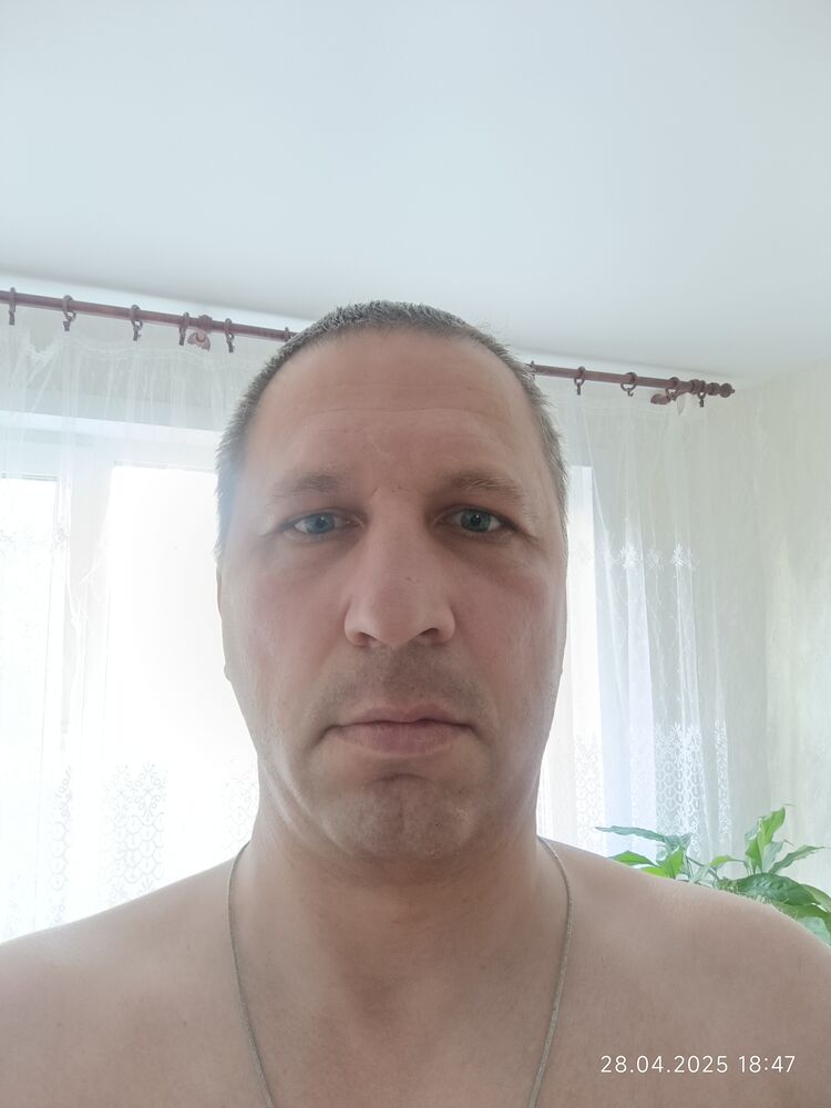  53502864  , 44 ,    