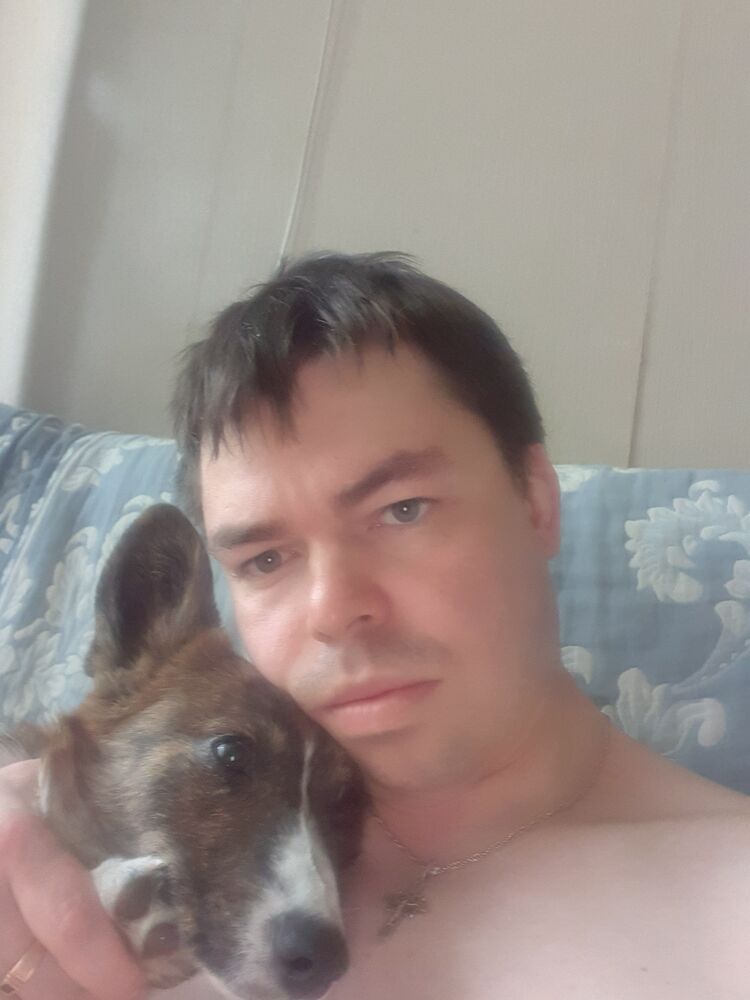 ���������� ������, ���� ������� ����, 38 ���, ������������ ��� c�������� ���������