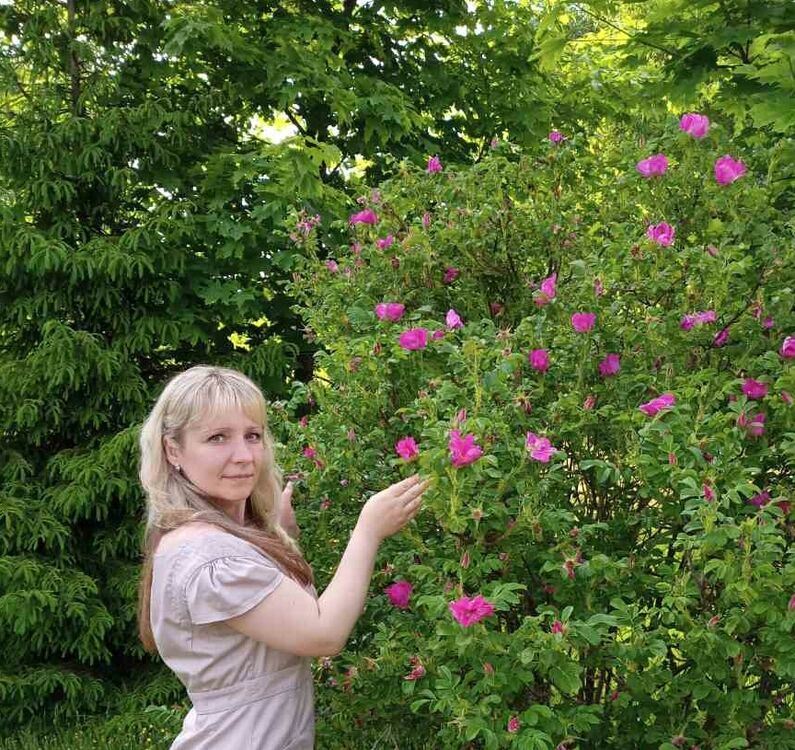 ���� 25948304 ������� ����, 45 ���, ���� ���������� � ������