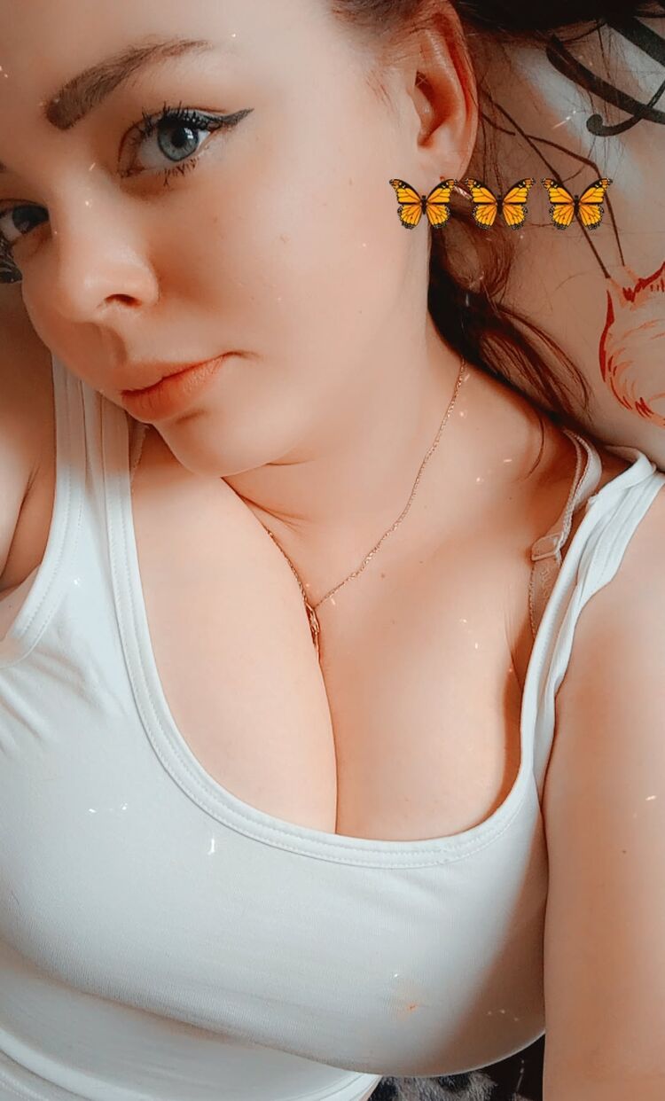  51096654  , 27 ,    