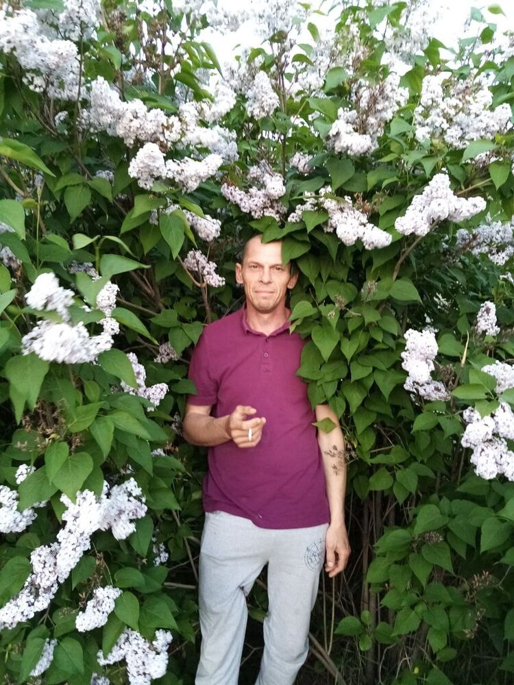 ���� 39516344 ������� �������, 48 ���, ���� ���������� � ������ ���������