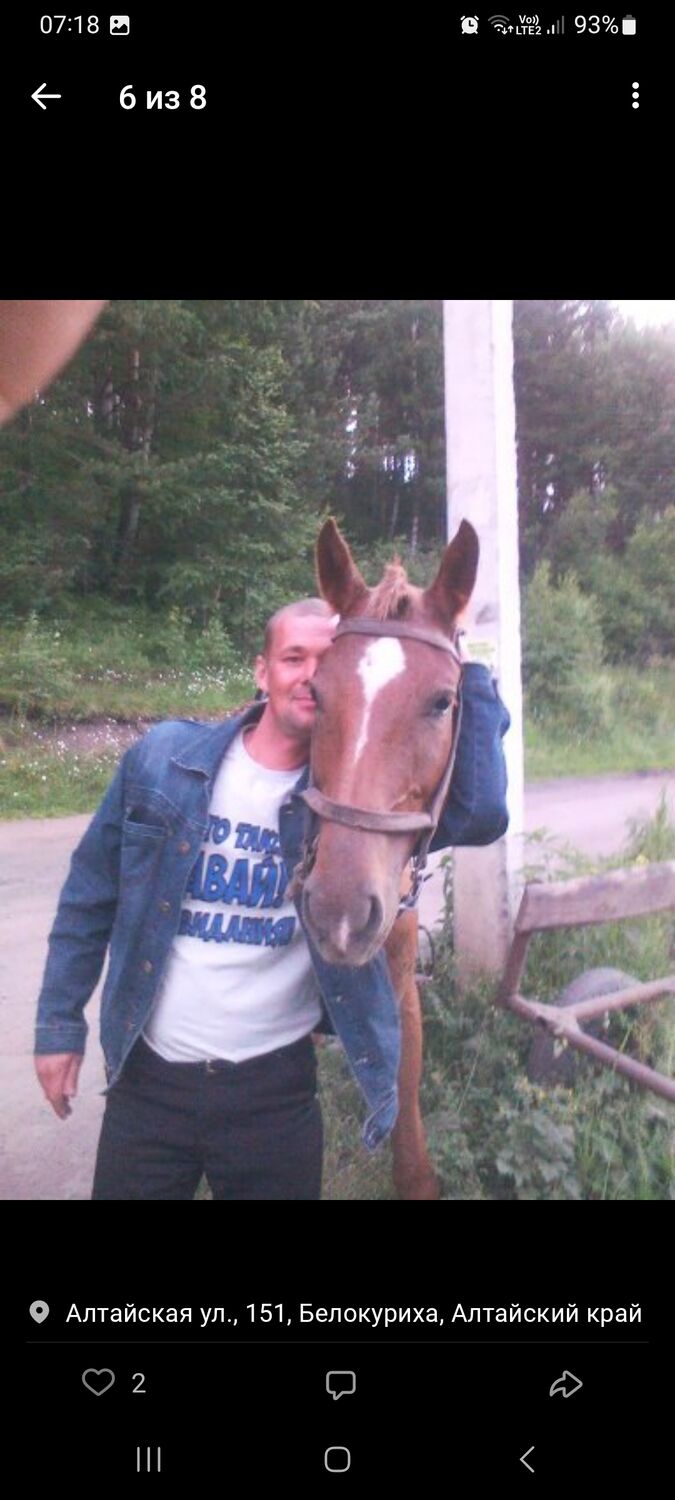 ���� 55544394 ������� �������, 45 ���, ���� ���������� � ����������